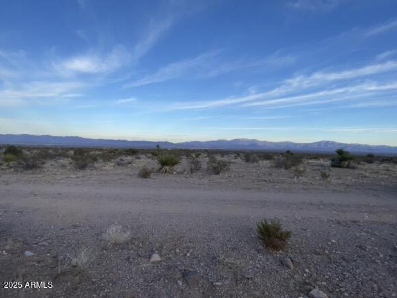 E72F2795-5C08-4C8A-A9A2-02BF65165B23_1_1