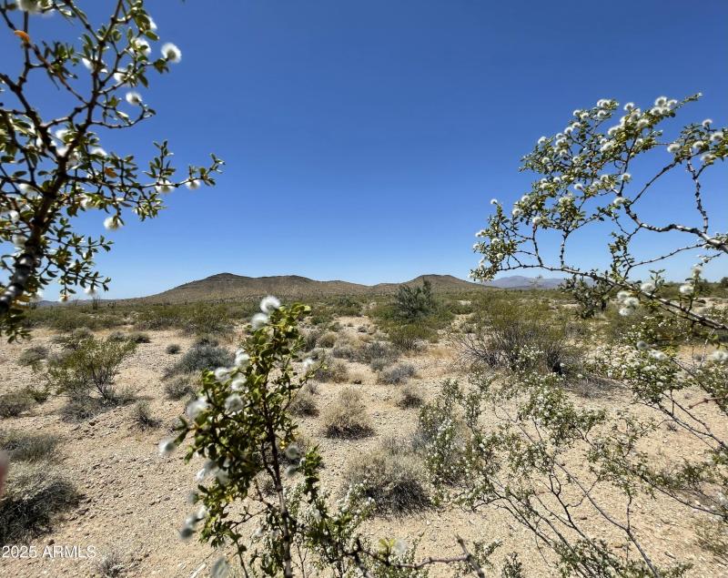 9B91FAD7-F551-435F-9F3E-E5D8FBD0A074_1_2