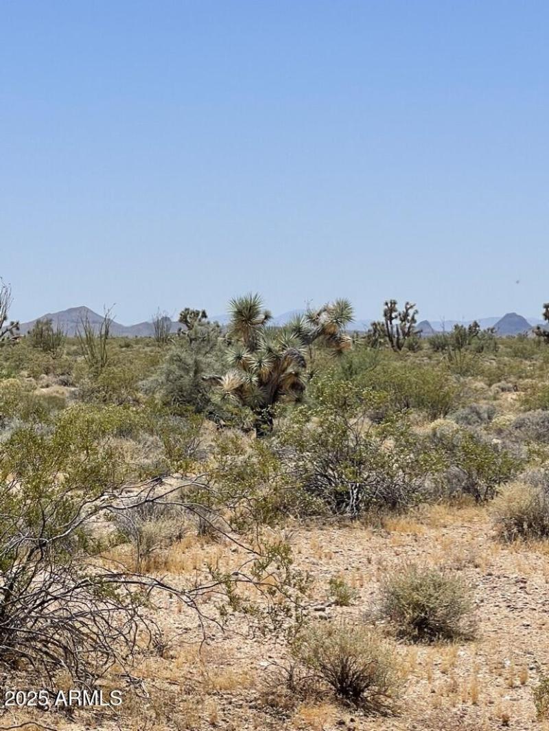 F2F1E08E-97F8-4B7B-8FE3-E85DB2412EBE_1_1