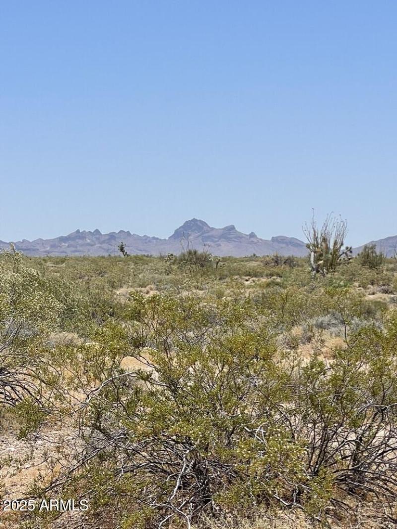 AC9FBA47-17B5-4B28-A5A3-270CB460EE10_1_1