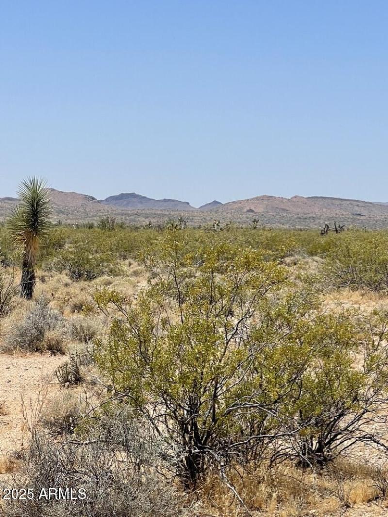 65F7B202-54FC-4D4B-A667-3B26EE66ABAE_1_1