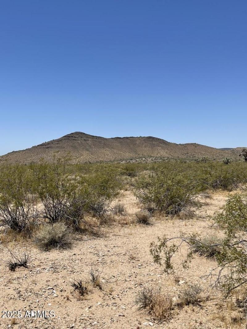 128AC841-F153-4A1D-8206-1CBD5306C4B1_1_1