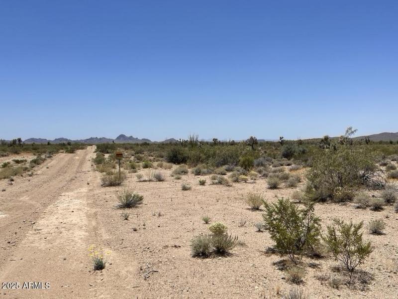 54FEAE82-D336-47A1-99D6-076EE8432066_1_1