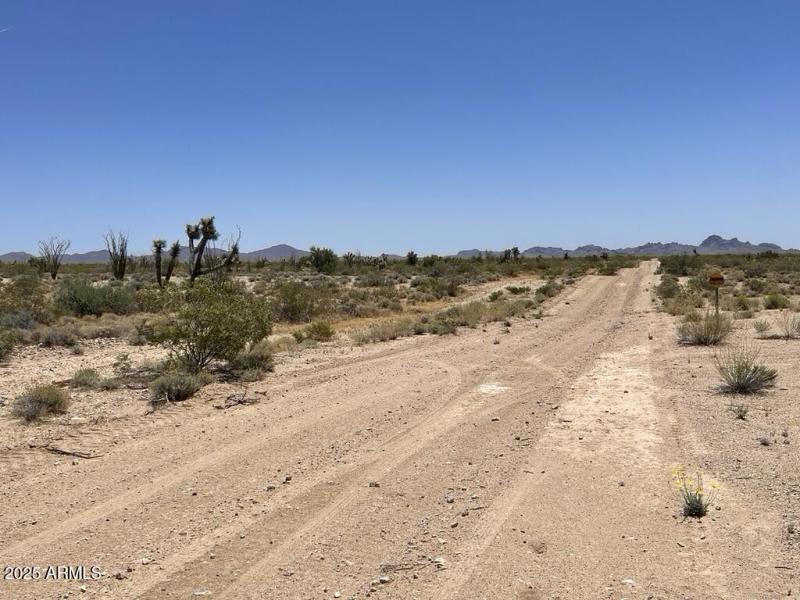 21DE5C62-4BD1-4C95-8F03-39F815A3339E_1_1