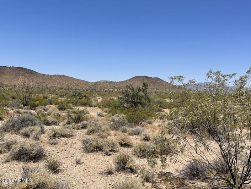 AF322E91-FF05-4337-B3EF-42F938335233_1_1