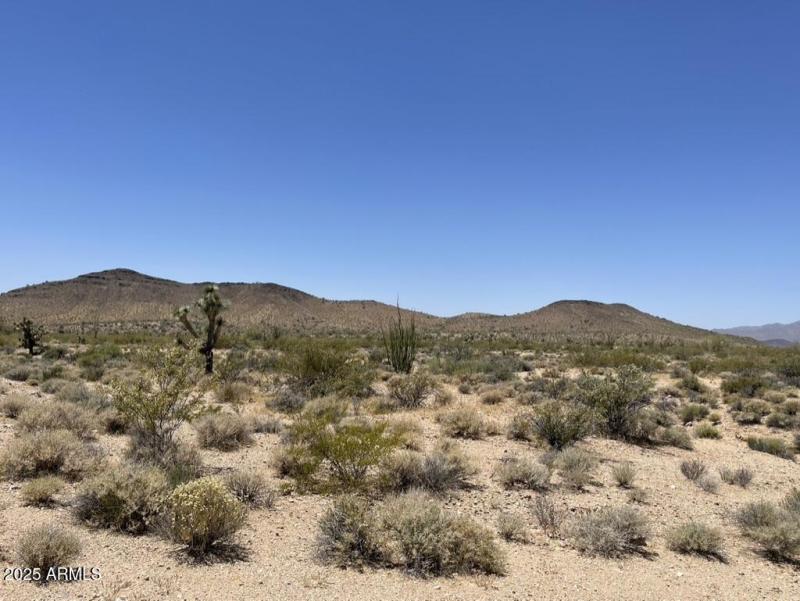 01E0A3A2-B2C4-40D7-9453-4591C43CAFF7_1_1