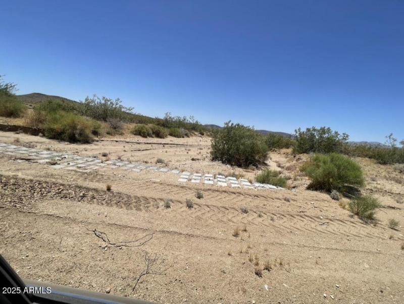 2B7FFDBB-4997-466B-B91B-A0A8E03C0CE2_1_1