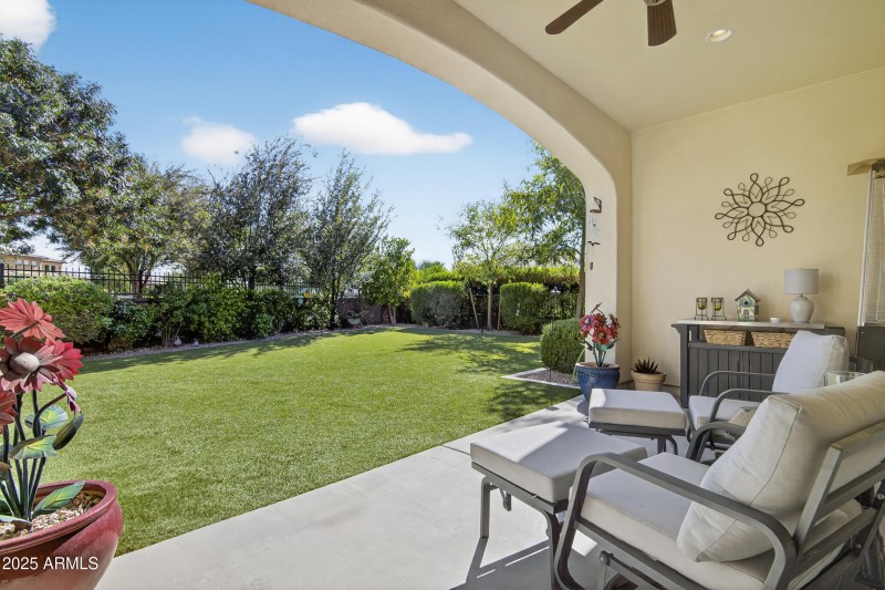 Back Patio