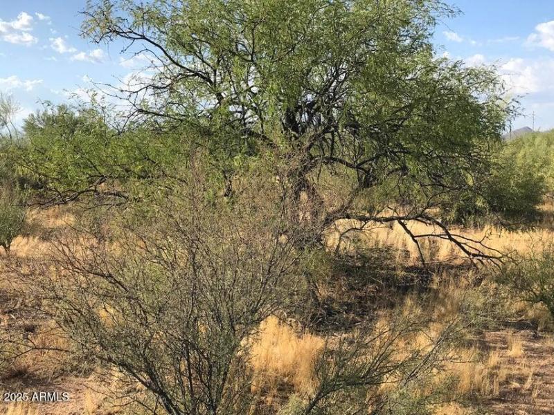 20190905002835881348000000-o