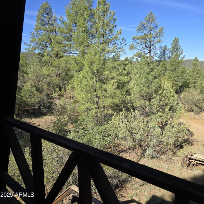 Loft View twd TNForest