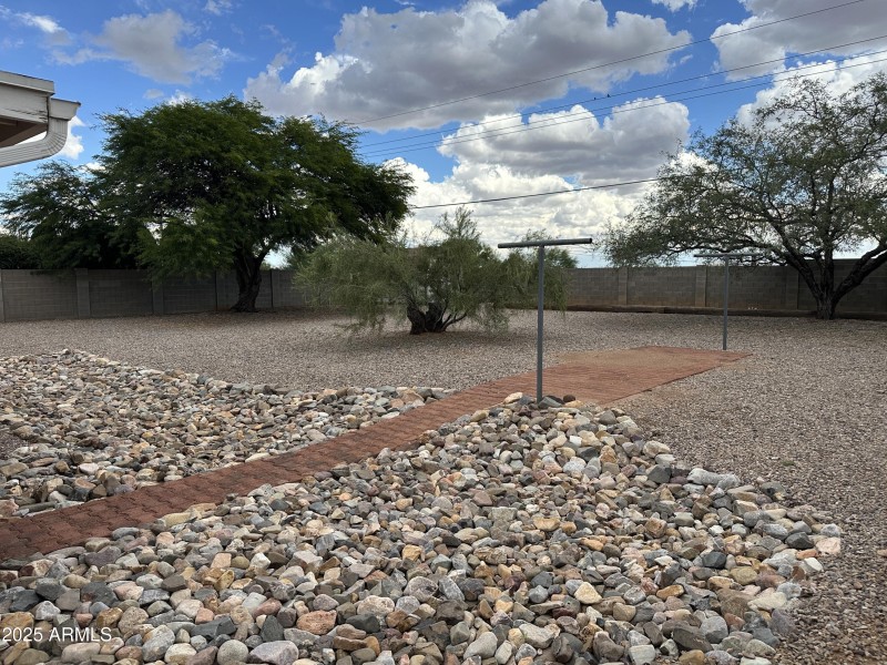 Backyard 1