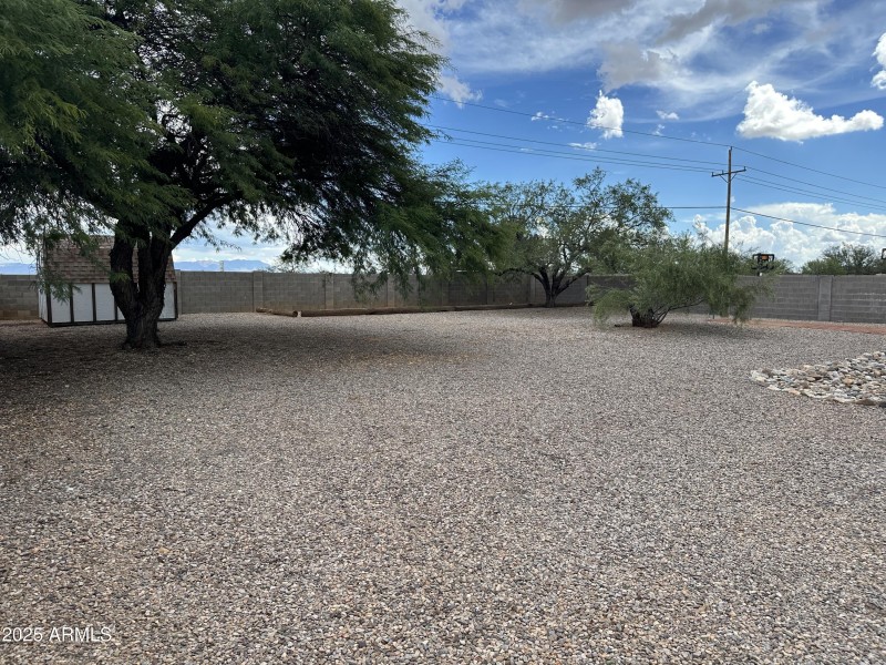 Backyard 2