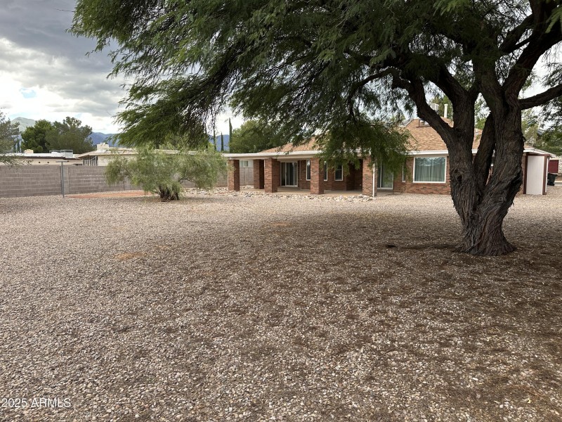 Backyard 3