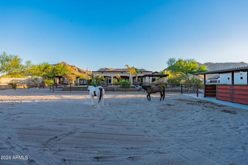 86-web-or-mls-Hombre-86