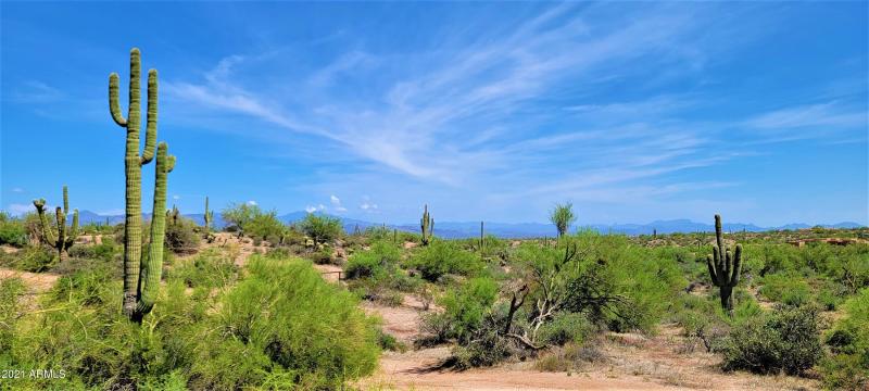 Views, Views, Views!