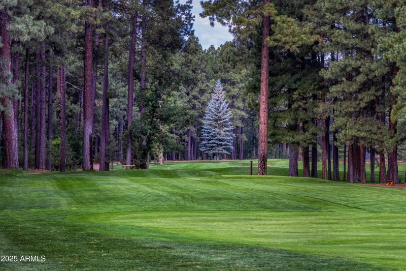 046_photo46_3723_crown_dancer_dr._pt_kar