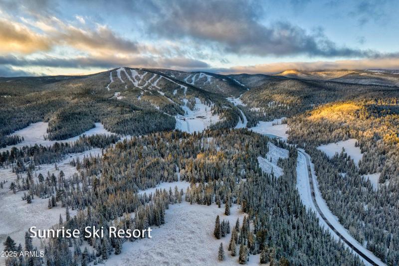 049_photo49_3723_crown_dancer_dr._pt_kar