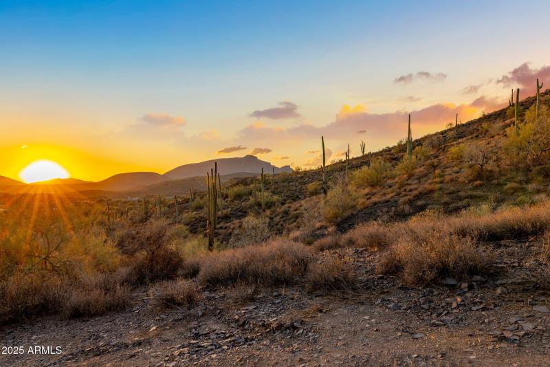 Perfect For Equestrians