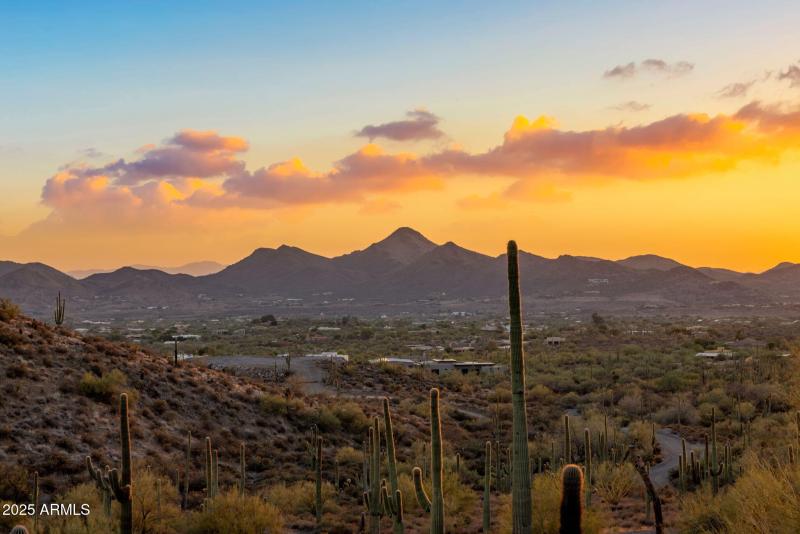 Build Your Custom Estate