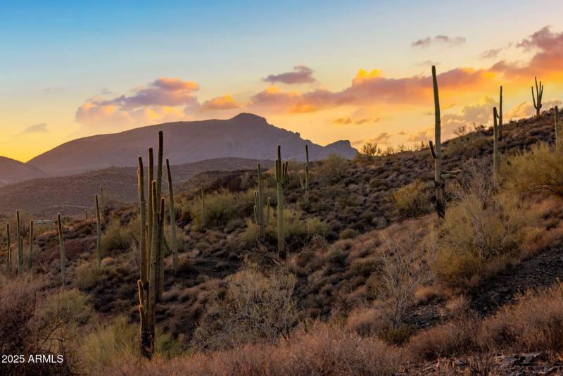 Build Your Custom Estate