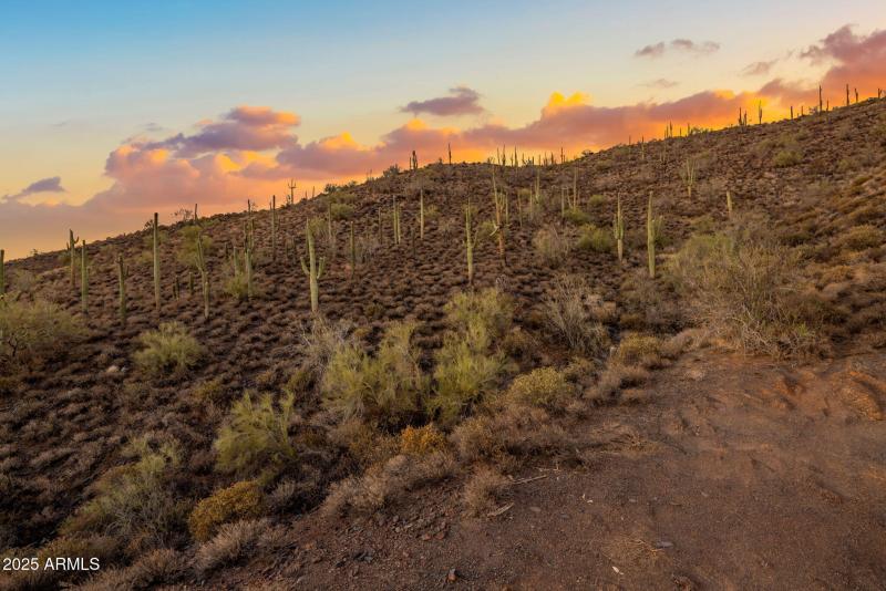 20 acres in Cave Creek