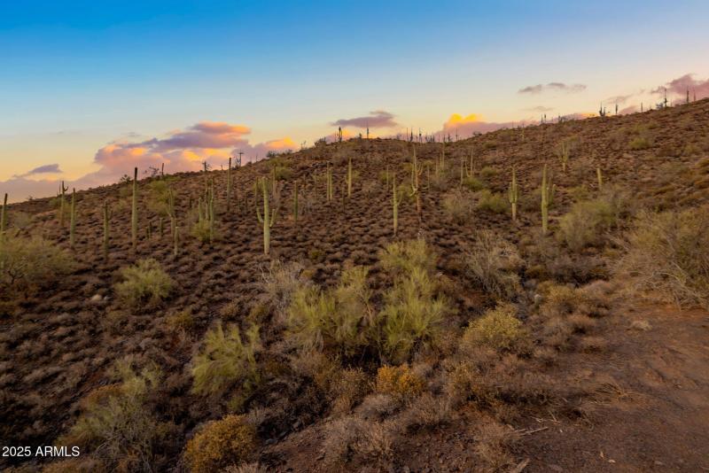 20 acres in Cave Creek