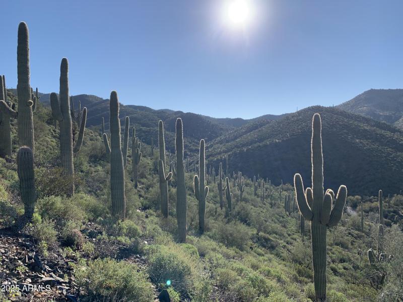 20 acres in Cave Creek