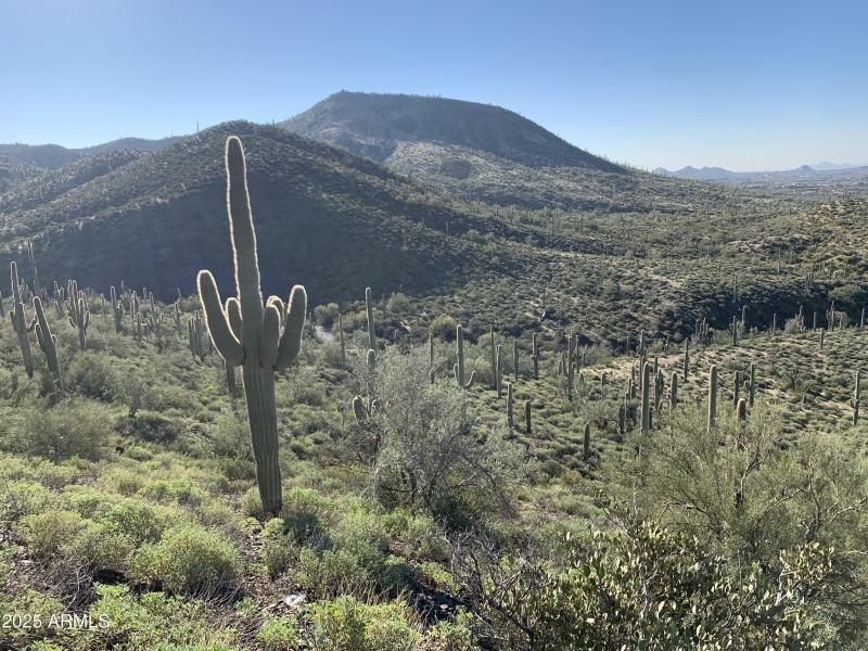 20 acres in Cave Creek