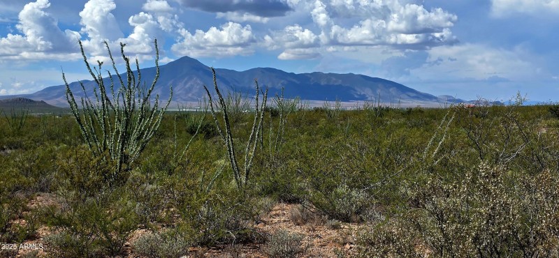 TBD East Beech Craft Boulevard