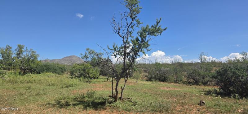 TBD East Beech Craft Boulevard