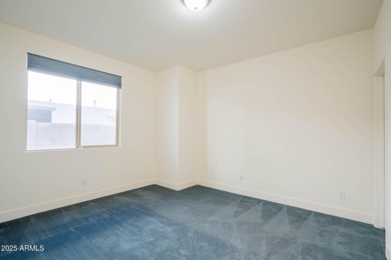 19-web-or-mls-Tune-19