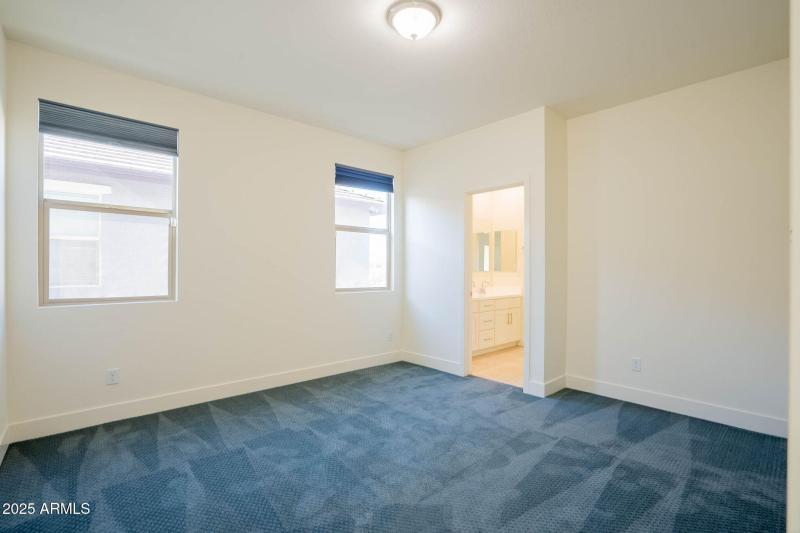 29-web-or-mls-Tune-29