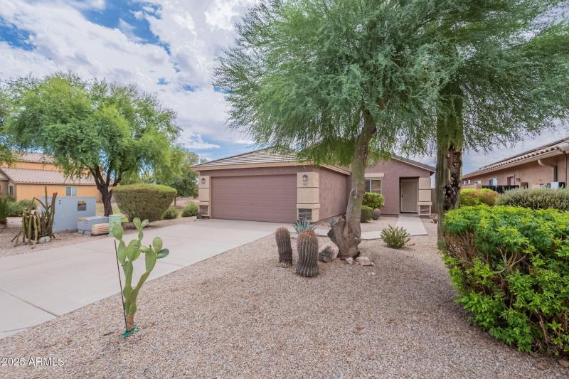 4-web-or-mls-Silverbell-4