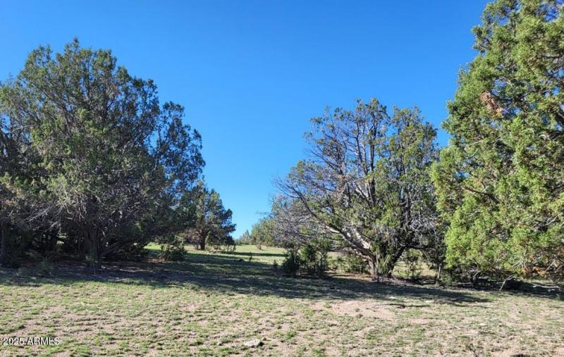 thumbnail_20250913_091309