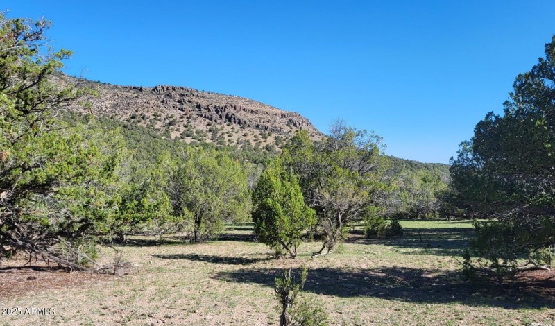 thumbnail_20250913_091424