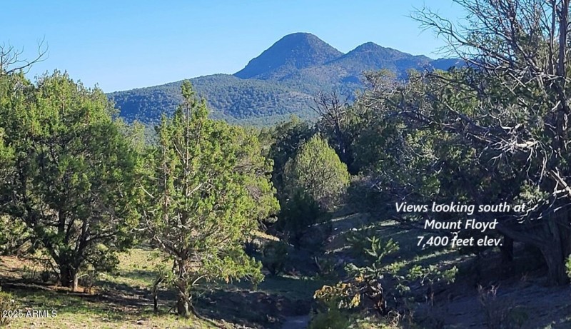 thumbnail_20250914_164214