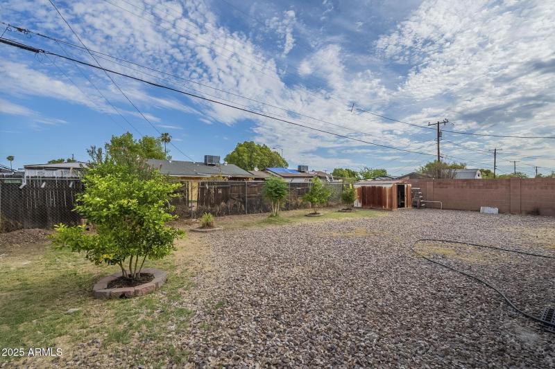 Gravel back yard and fruit trees