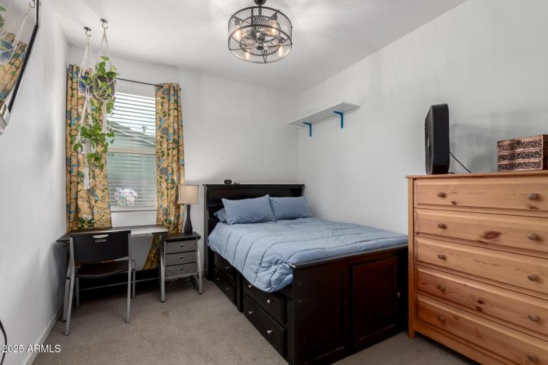 20 - Italian Trotter