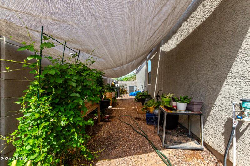 28 - Italian Trotter