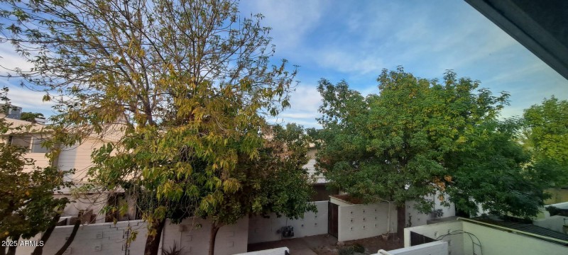 Beautiful, mature trees all around!