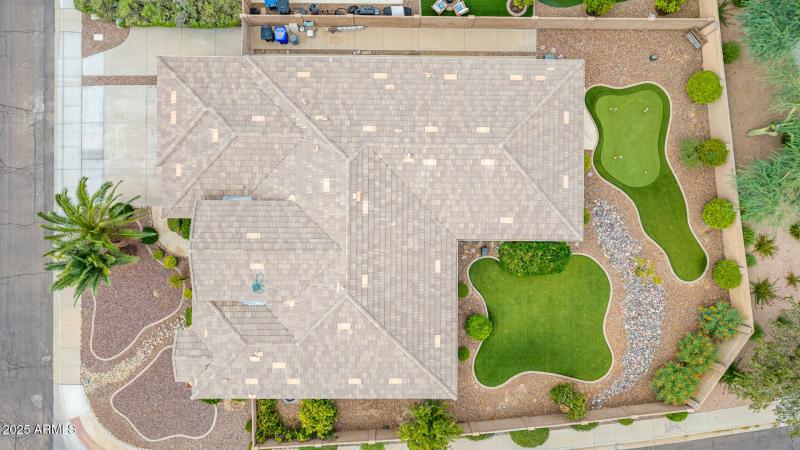 51 - Salt Cedar Aerials