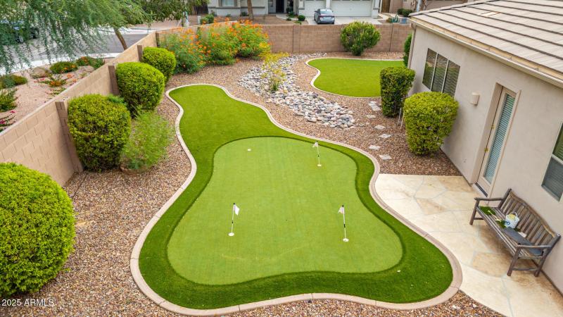 55 - Salt Cedar Aerials