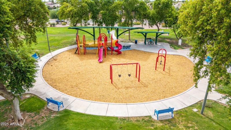 65 - Salt Cedar Aerials