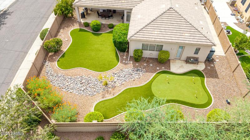 66 - Salt Cedar Aerials