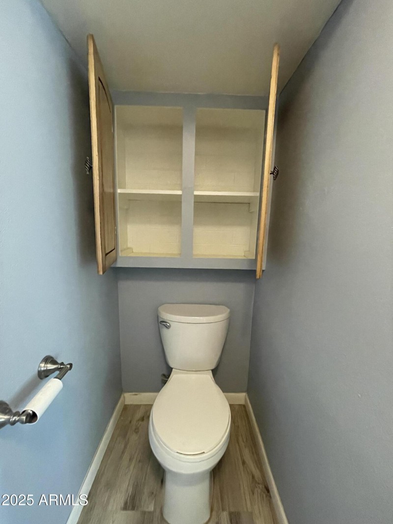 Lots of storage in downstairs bathroom.