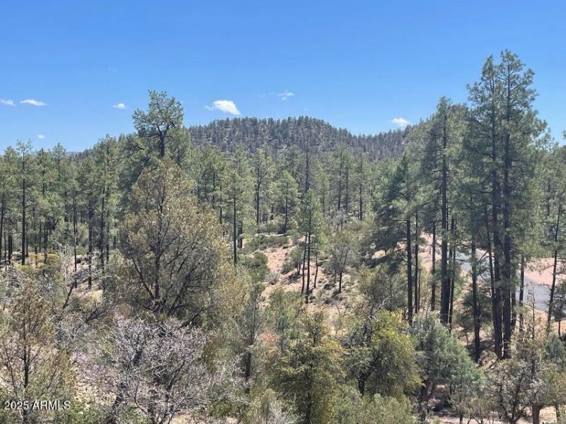 20220411194510057232000000-o