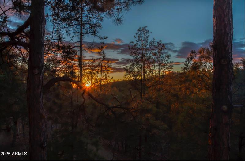 4785 Ponderosa Ave. - Photo - Sunset