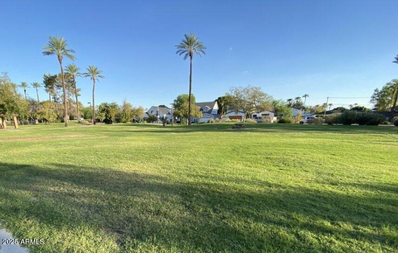 Kachina Park Grassy PLay Area 1