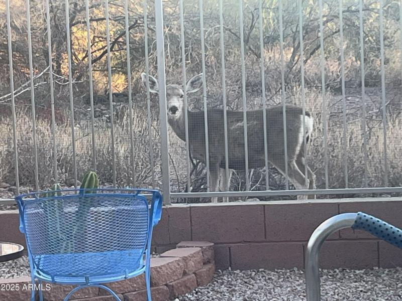 37DCD420-2E08-425B-B2EE-7A899158486A