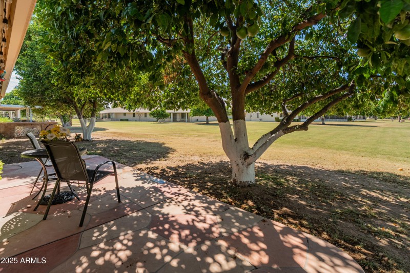 10229 W Bolivar Dr-31